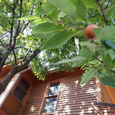 Persimmon Inn Bloomington Ngoại thất bức ảnh