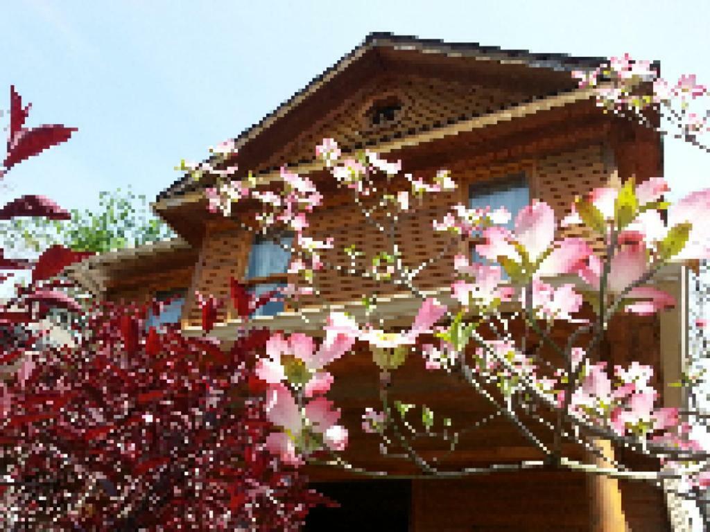 Persimmon Inn Bloomington Ngoại thất bức ảnh